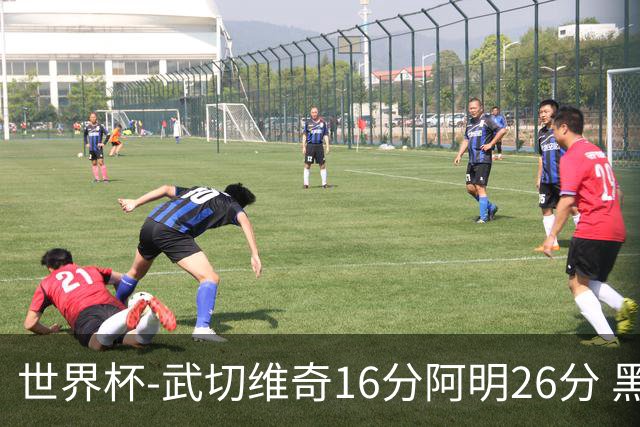 世界杯-武切维奇16分阿明26分 黑山大胜埃及