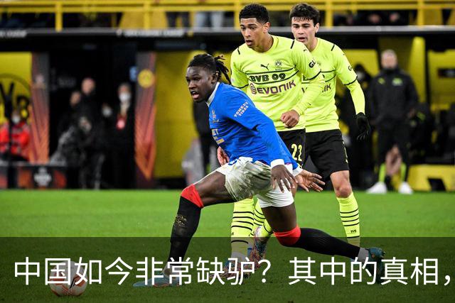 中国如今非常缺驴？其中的真相，比你想象的还要荒诞得多