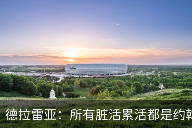 德拉雷亚：所有脏活累活都是约翰逊在干，和他搭档很棒