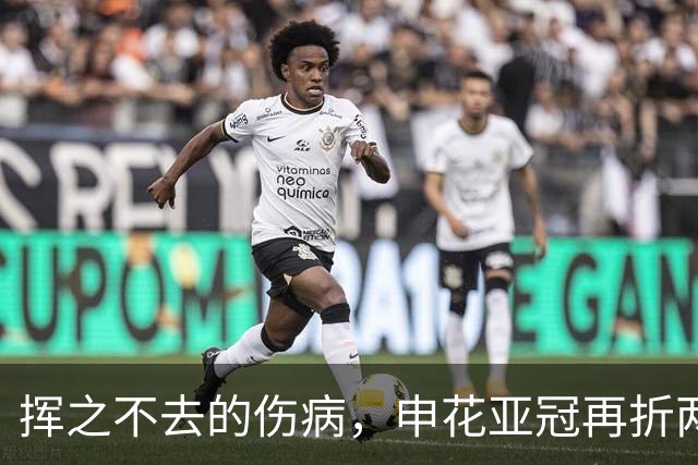 挥之不去的伤病，申花亚冠再折两将