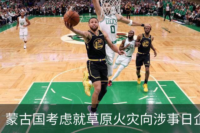 蒙古国考虑就草原火灾向涉事日企索赔