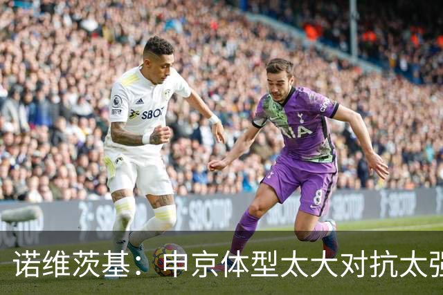 诺维茨基：申京体型太大对抗太强，马刺让他太轻松进篮下