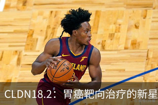 CLDN18.2：胃癌靶向治疗的新星——从生物学基础到临床转化